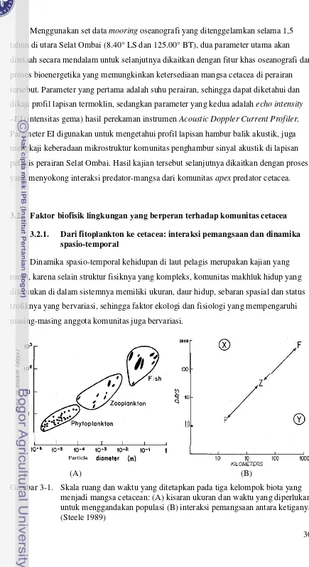 Gambar 3-1. Skala ruang dan waktu yang ditetapkan pada tiga kelompok biota yang menjadi mangsa cetacean: (A) kisaran ukuran dan waktu yang diperlukan untuk menggandakan populasi (B) interaksi pemangsaan antara ketiganya (Steele 1989) 