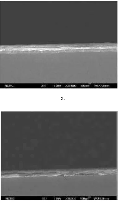 Figure 3. The SEM images shows the (a) nanocomposite SiO2:PHF (b) the PHF sample 
