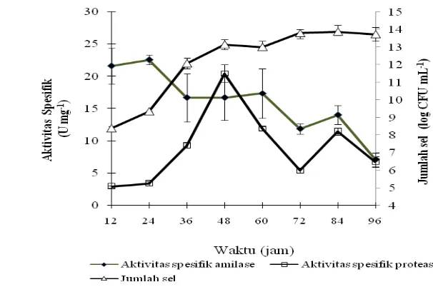 Gambar 8  Produksi protease dan amilase Bacillus                  waktu  pertumbuhan yang  berbeda