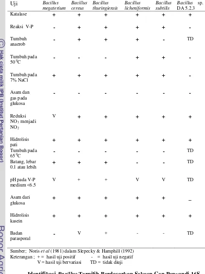 Tabel 16  Perbandingan karakteristik fisiologi Bacillus sp. DA 5.2.3 dengan                 spesies Bacillus lainnya 