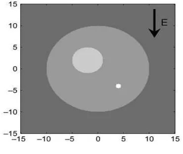 Gambar 2. Model geometri sel yang memperlihatkan PM, LOM, dan SOM (Smith, et. al., 2006) 