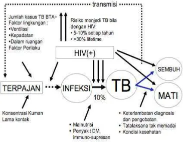 Gambar 2.1. Faktor risiko TB 