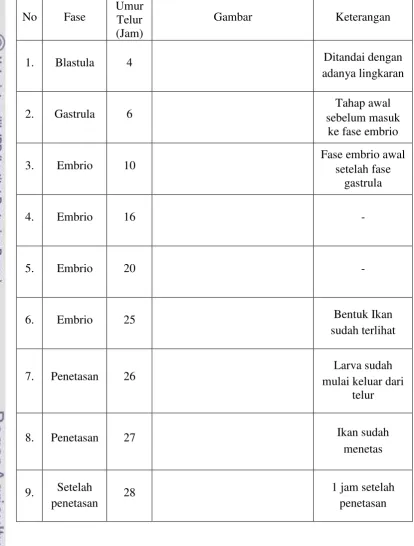 Gambar Keterangan 
