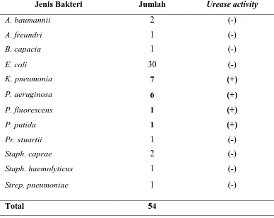Tabel 5.5. Jenis Bakteri Hasil Kultur Urin Pasien BSK berdasarkan Urease 