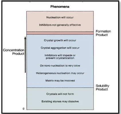 Gambar 2.3  Teori Supersaturasi: Patogenesis BSK 