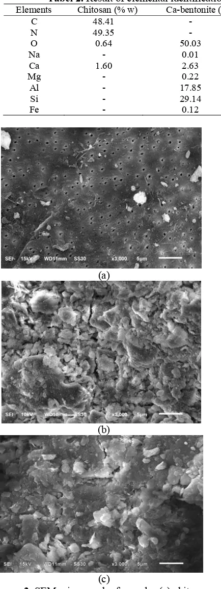 Figure 2. SEM micrograph of samples (a) chitosan, (b) Ca-bentonite and (c) Ca-bentonite/chitosan composite