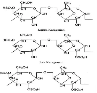 Gambar 2.4 Struktur karagenan (Rowe, dkk., 2009). 
