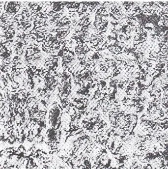 Gambar 7. Stuktur Mikro Besi Tuang Putih (amstead, 1993) 