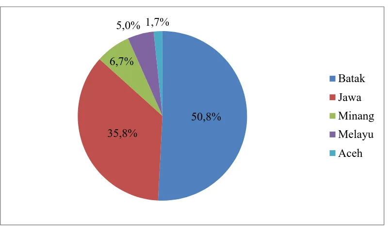 Gambar 5.3 Diagram Pie Distribusi Proporsi Penderita DM Tipe 2 dengan    