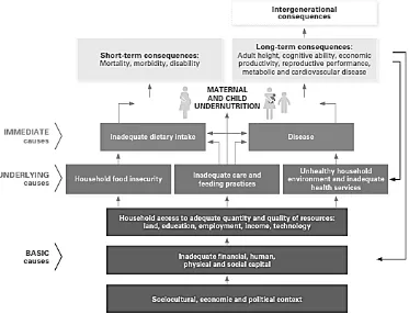 Figure 1. Conceptual Framework Of The Determinants Of Child Undernutrition 