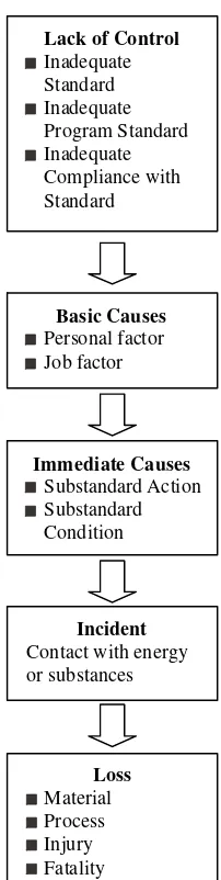 Figure 1. ILCI Loss Causation Model 