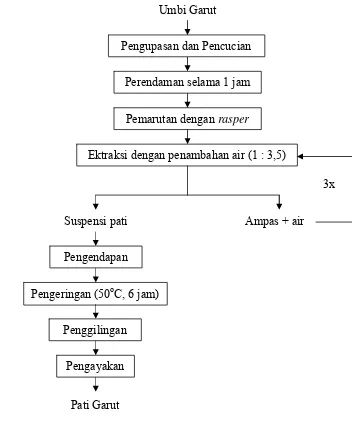 Gambar 20. Proses ekstraksi pati garut (modifikasi dari Lingga et al. 1986) 