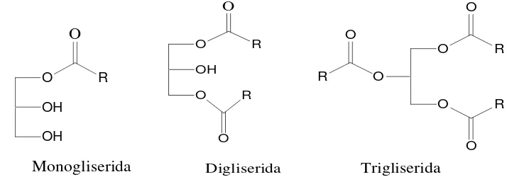 Gambar 2.  Struktur molekul asam lemak bebas 
