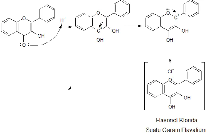 Gambar 16. Reaksi pembentukan garam flavilium 