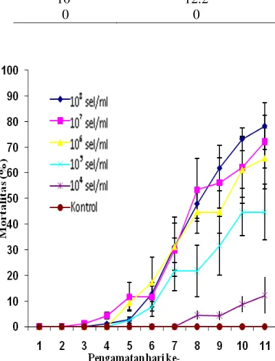 Gambar 2 Grafik efektivitas bakteri merah terhadap wbc. 