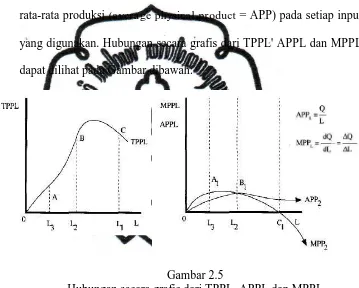 Gambar 2.5 Hubungan secara grafis dari TPPL, APPL dan MPPL