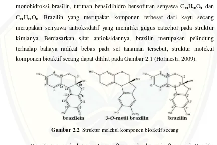 Gambar 2.2. Struktur molekul komponen bioaktif secang 