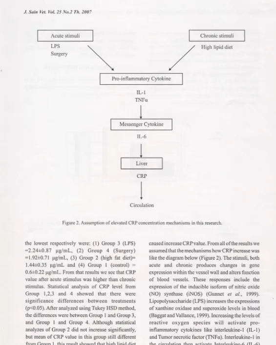 Figure 2. Assumption of elevated CRP concentration mechanisms 