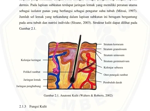Gambar 2.1. 