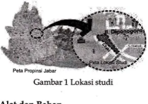 gambar, dan perangkat komputer