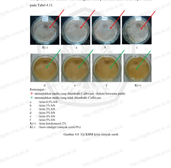 Gambar 4.8  Uji KHM krim minyak serehhttp://digilib.unej.ac.idhttp://digilib.unej.ac.id 