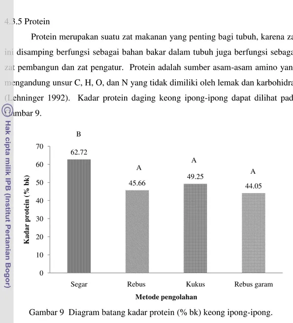 Gambar 9  Diagram batang kadar protein (% bk) keong ipong-ipong. 
