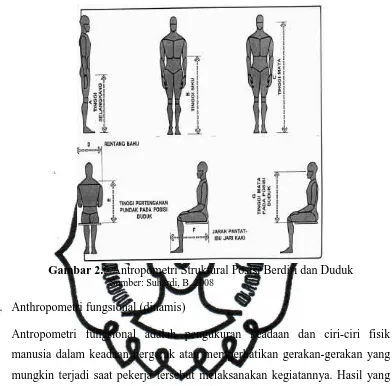 Gambar 2.5  Antropometri Struktural Posisi Berdiri dan Duduk        Sumber: Suhardi, B
