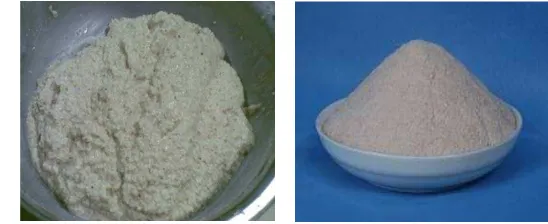 Gambar 10. Talas segar (kiri) dan tepung talas (kanan) 