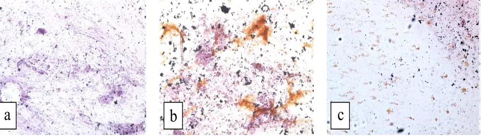Gambar 3. Imunositokimia lendir Kerapu Macan 48 jam pasca infeksi VNN. a. Kontrol negatif, b