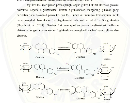 Gambar 2.4 Reaksi deglikosilasi isoflavon glikosida menjadi isoflavon aglikon (Ariani, 2003; Pandit et al., 2011) 