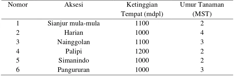 Tabel 1. Data geografis enam aksesi bawang merah di  Samosir  