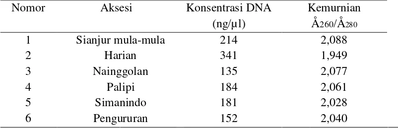 Tabel 2. Hasil uji kuantitatif  DNA enam aksesi bawang merah di Samosir  