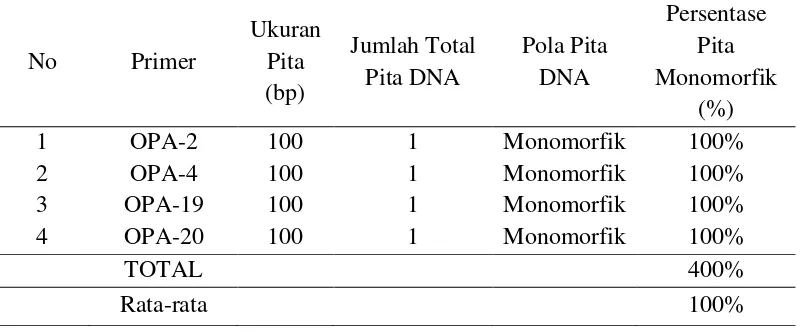 Tabel 4. Jumlah fragmen DNA dan tingkat keinformatifan masing-masing primer  