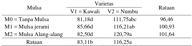 Tabel 6.Rataan produksi per sampel (g) terhadap varietas dan mulsa. 