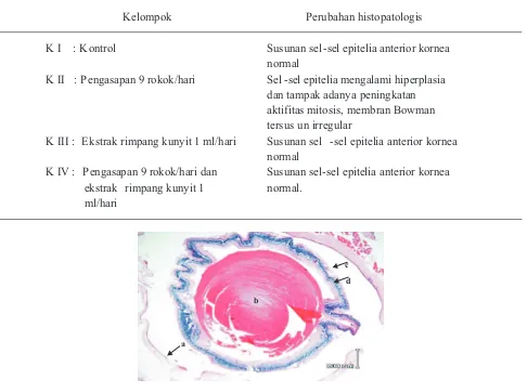 Tabel 1. Perubahan histopatologis kornea tikus putih dengan pewarnaan HE.