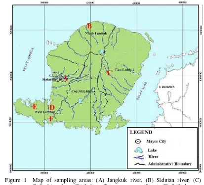 Figure 1  Map of sampling areas: (A) Jangkuk river, (B) Sidutan river, (C) Belimbing river, (D) Labuan Treng mangrove forest, (E) Selindungan mangrove forest, and (F) Sepi Bay mangrove forest