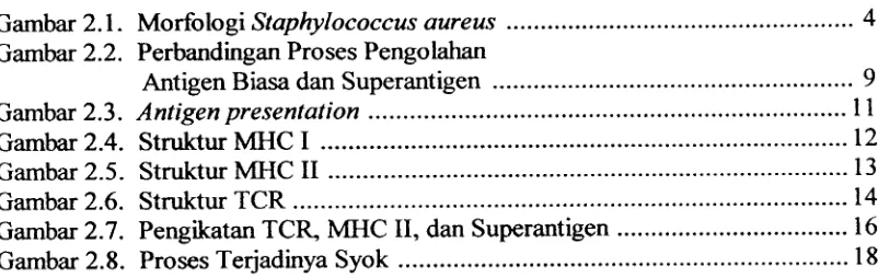 Gambar 2.1. Morfologi Staphylococcus aureusGambar 2.2. Perbandingan Proses Pengolahan
