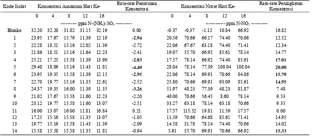 Tabel Lampiran 1. Konsentrasi Amonium dan Nitrat oleh Nitrosomonas dalam  250 ppm (NH4)2SO4 