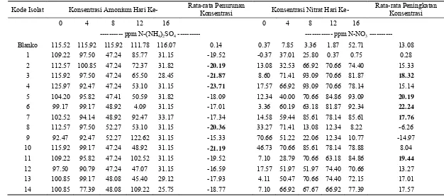 Tabel Lampiran 3. Konsentrasi Amonium dan Nitrat oleh Nitrosomonas dalam  1000 ppm (NH4)2SO4 