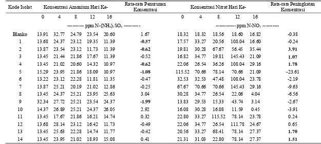 Tabel Lampiran 4. Konsentrasi Amonium dan Nitrat oleh Nitrobacter dalam  250 ppm (NH4)2SO4 
