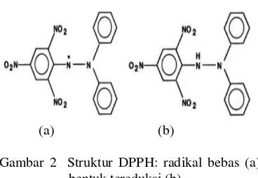 Gambar 2  Struktur DPPH: radikal bebas (a) bentuk tereduksi (b).   