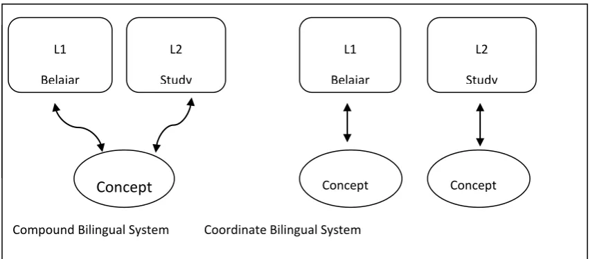 Figure 1. Compound and Coordinate Bilingual Systems 