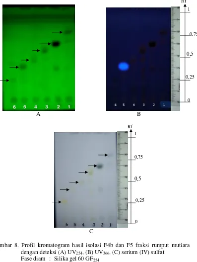 Gambar 8. Profil kromatogram hasil isolasi F4b dan F5 fraksi rumput mutiara 