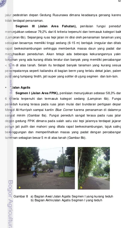 Gambar 8   a) Bagian Awal Jalan Agatis Segmen I yang kurang teduh 