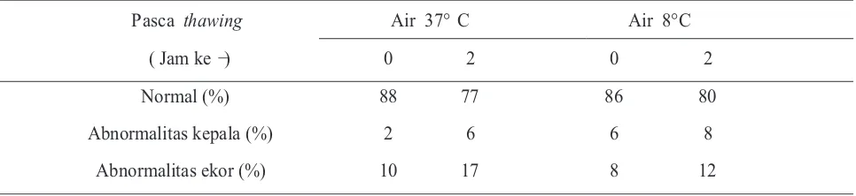 Tabel 2. Rerata persentase morfologi spermatozoa semen beku sapi Friesian Holstein  yang di-thawing dalam air 37°C dan 8°C selama interval waktu 2 jam