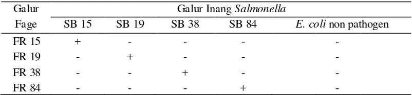 Tabel 2. asil Plak Forming Unit (PFU/ml) dari keempat isolat fage. 