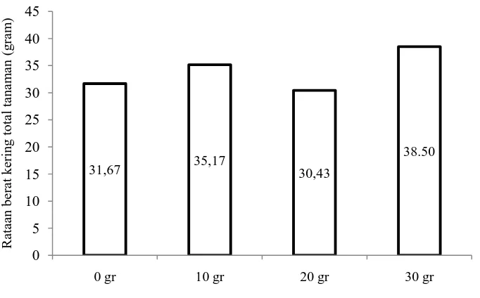 Tabel 6. Rataan rasio tajuk akar pada 14 mst 