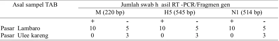 Tabel 2. Hasil inokulasi pada TAB dan uji HA/HI