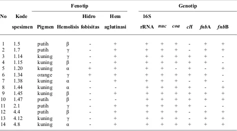 Tabel 2. Karakter virulensi S. aureus secara fenotip dan genotip