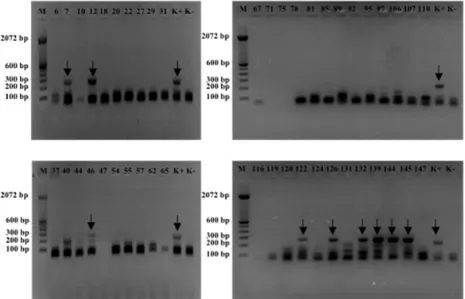Gambar 1. Identifikasi ALV-J dengan uji nRT-PCR pada 45 sampel serum dari peternakan ayam petelur asal Kabupaten Tangerang tahun 2015